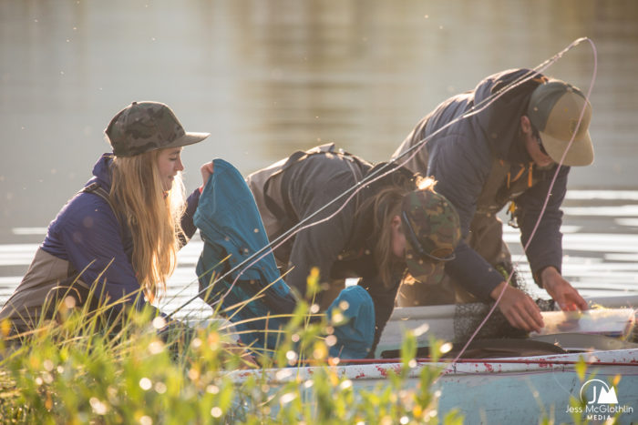 A woman and two men fish for pike in Swedish Lapland in morning sunlight at boat. Jess McGlothlin Media.