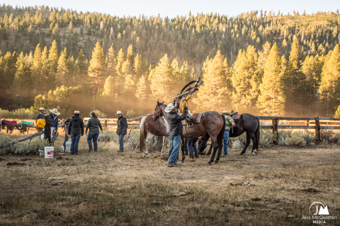 Jess McGlothlin Media. Cowboys saddling horses in the mountains at dawn. Buckeye Canyon, Hunewill Ranch, California.