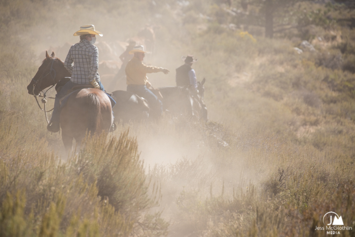 Jess McGlothlin Media. Riders coated in dust look for a cow during a cattle gather in Buckeye Canyon, Hunewill Ranch, California.