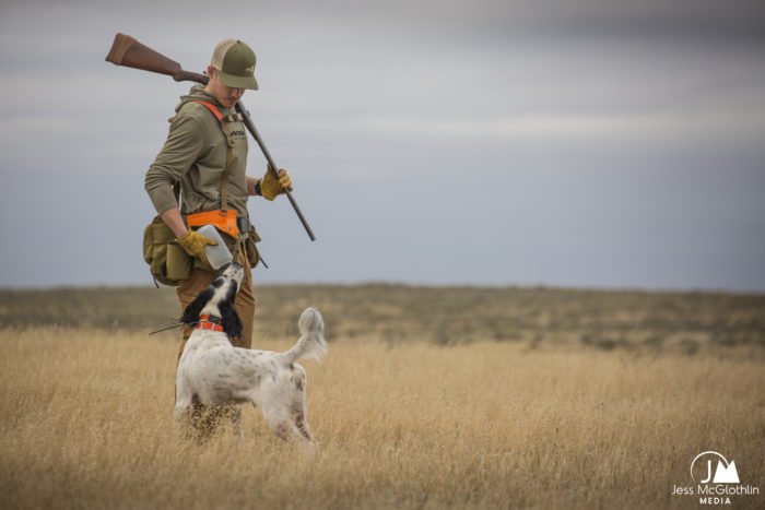 Jess McGlothlin Media. Upland game hunters and dogs hunting for sage grouse and sharp-tailed grouse in eastern Montana, near Malta. A hunter gives his dog water from a bottle in the field.