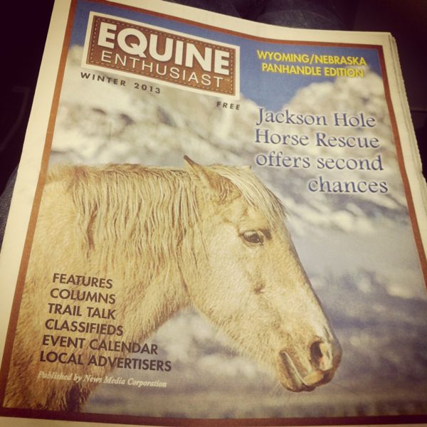 Equine_Enth